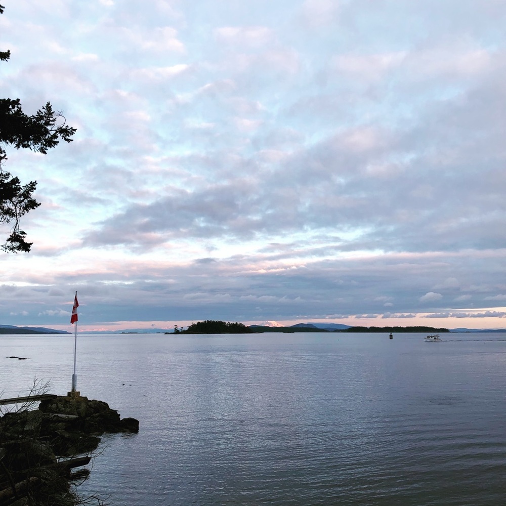 Meet your Posher, Kadie